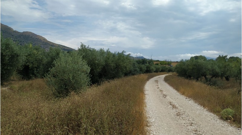 Un tram de la Via Verda, en concret entre Gaianes i Beniarrés