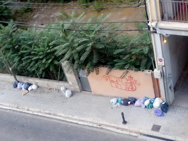 Bosses de brossa acumulades al carrer Alacant.