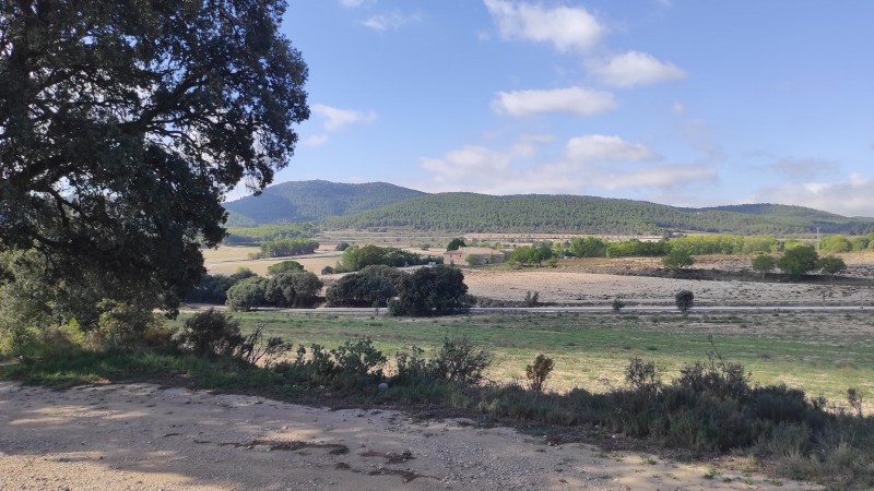 ASOCIACI&Oacute;N DE VECINOS DEL VALLE DE POLOP