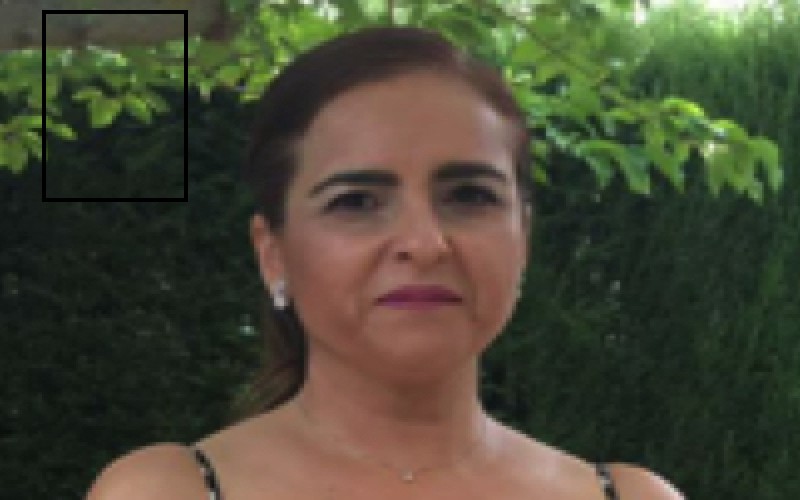 Mar&iacute;a Dolores Tamargo