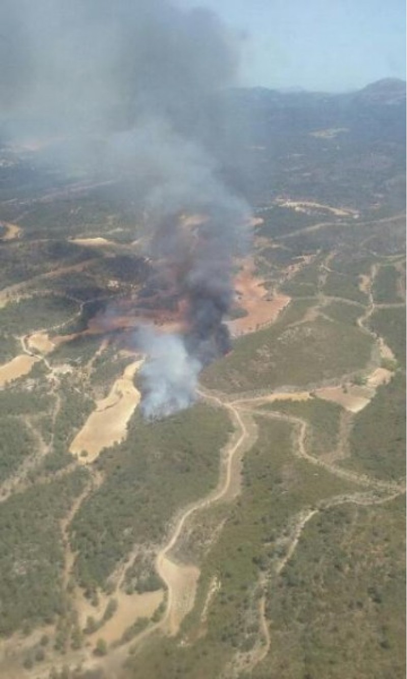 Fotografia dels bombers de l'incendi a Mariola