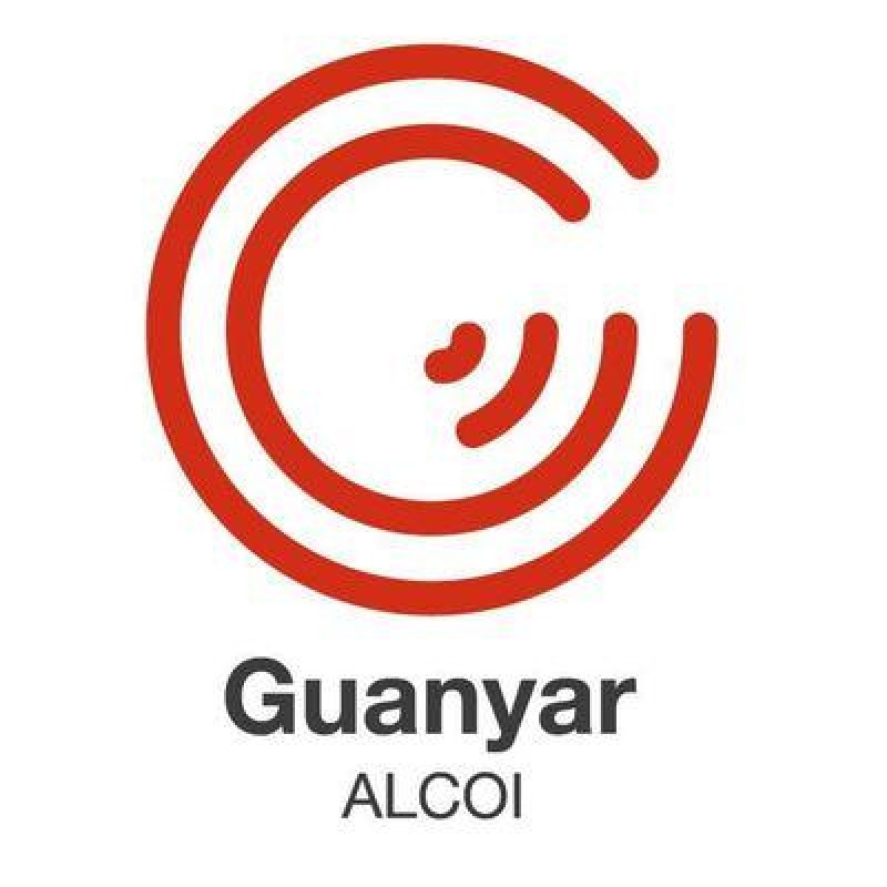 Propostes de Guanyar Alcoi acceptades