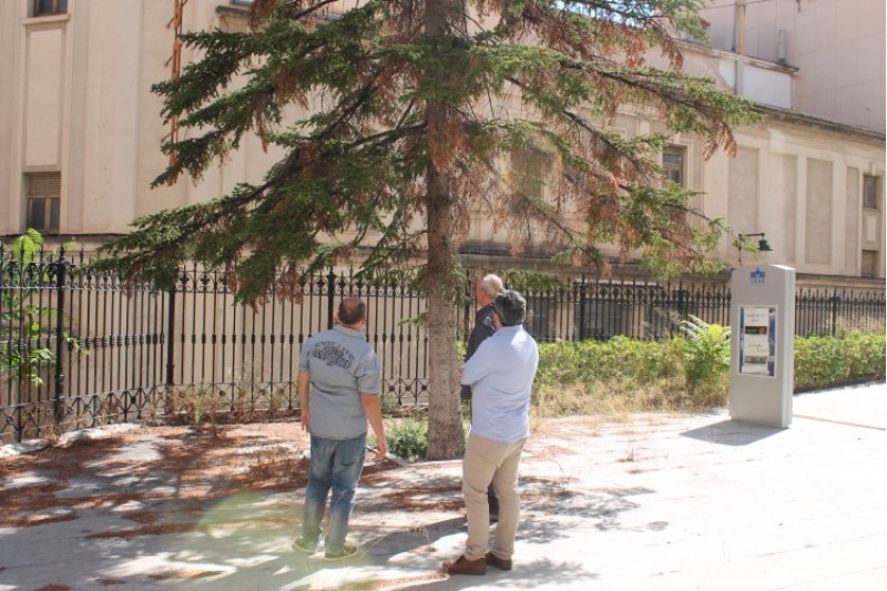 Ajuntament i Fundació CAM reforcen la seua unió pel manteniment del CADA