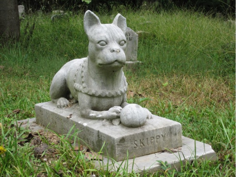 Cementiri d'animals. Imatge lliure