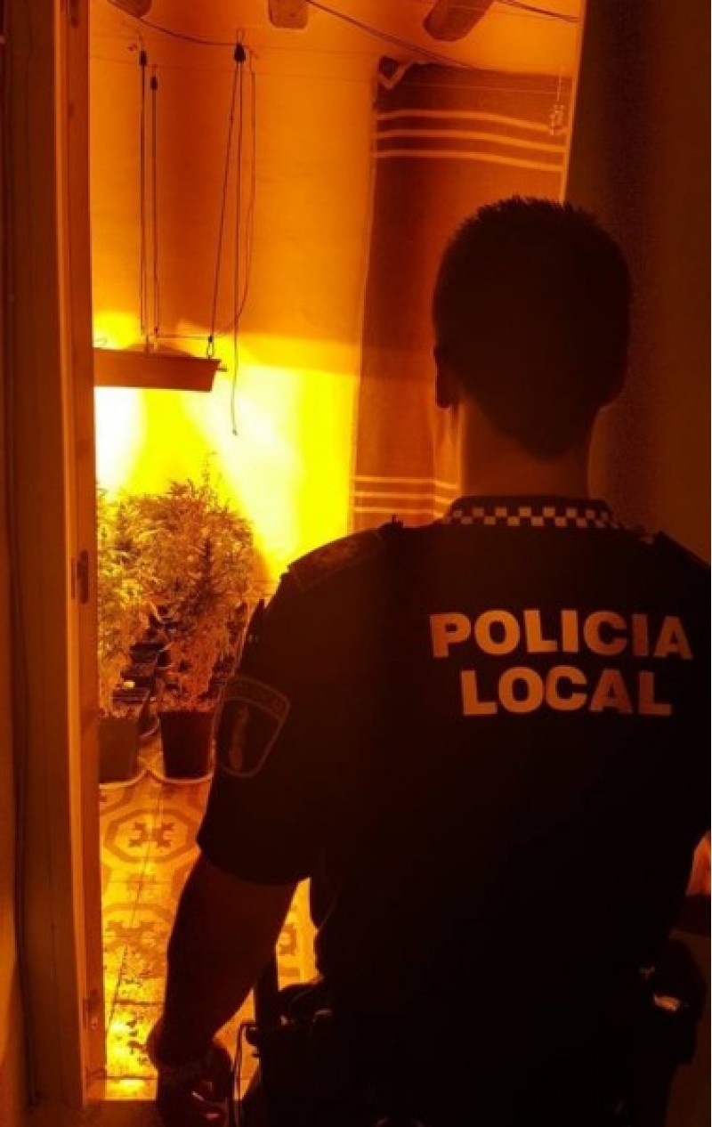 Desmantellat un Viver d'interior en una pedania de Muro d'Alcoi on es cultivava Cànnabis /Policia Local de Muro d'Alcoi