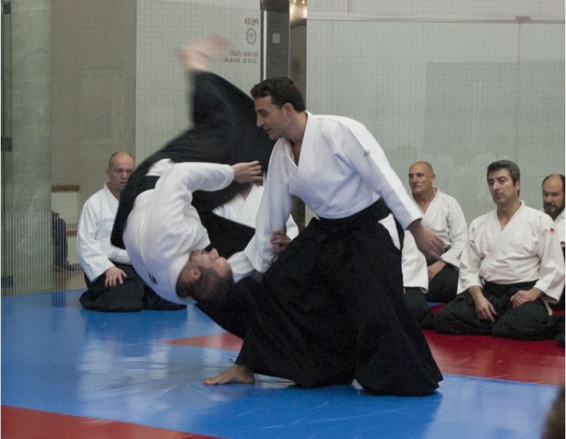El Sensei Bruno Balaguer en plena acció