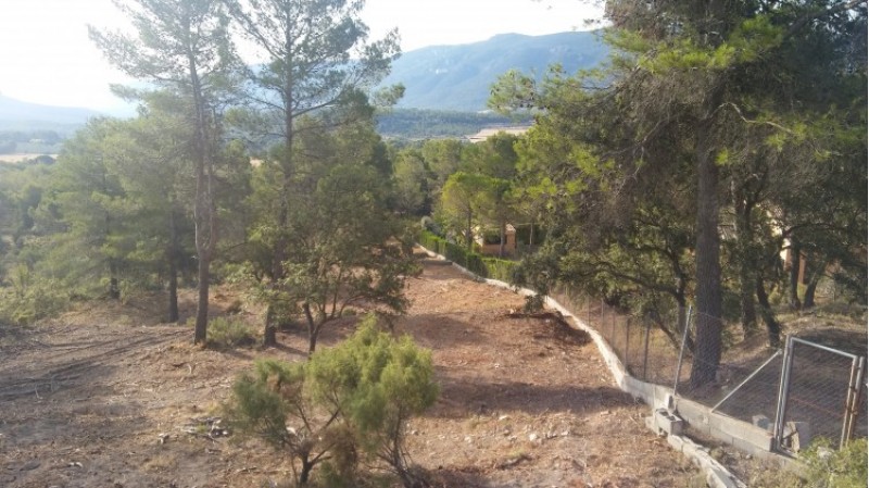 Finalitzada la faixa auxiliar de la urbanització Montesol 