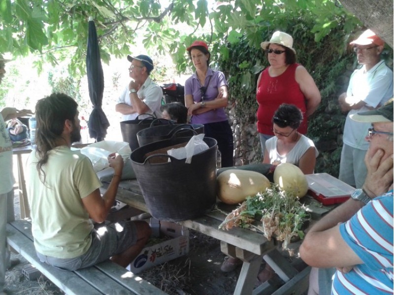 La sessió pràctica del curs ha sigut als Horts de Mascarella de Ferran
