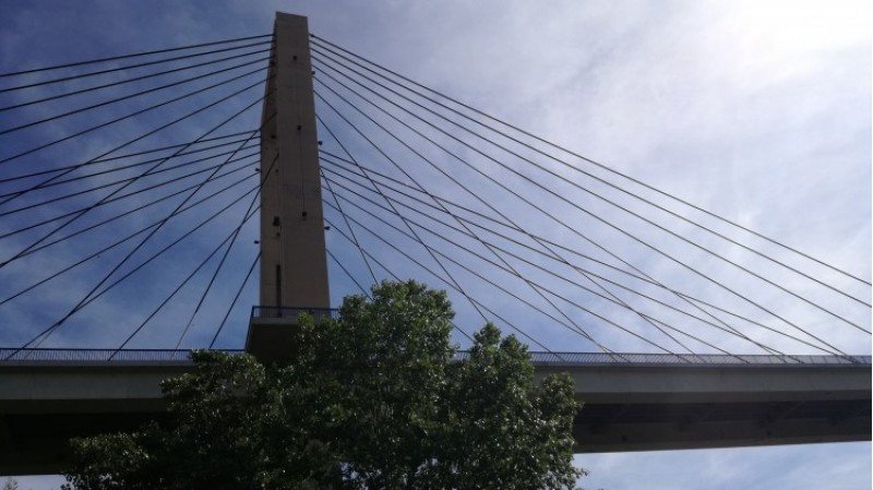 S'han de substituir els 38 tirants del pont