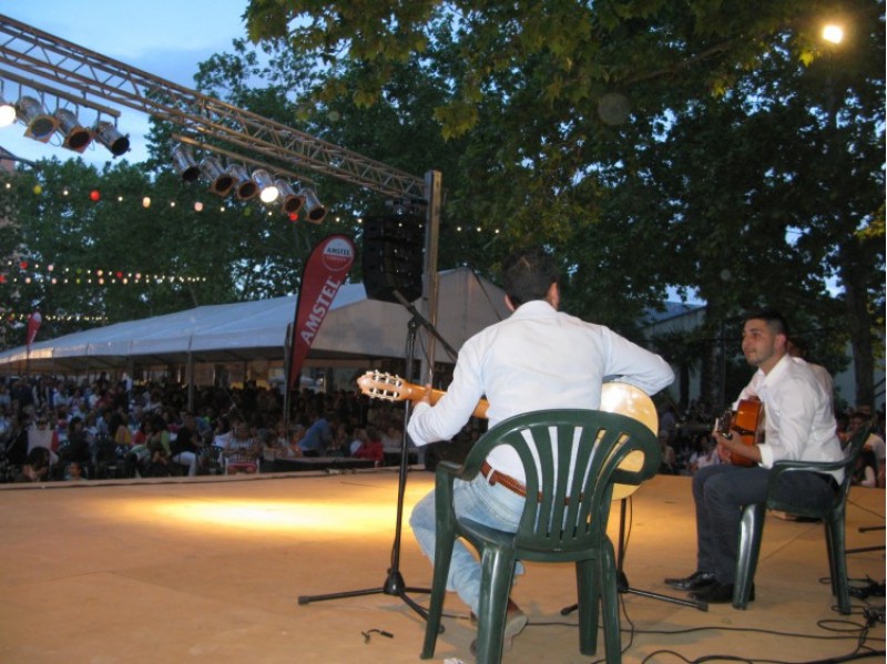 Concert flamenc /NL