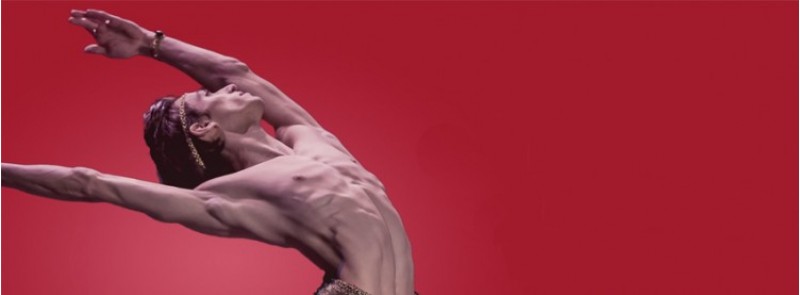 Amb coreografies de Mike Fothergill i músiques de Ravel, Stravinski, Mozart i Édith Piaf./ AM