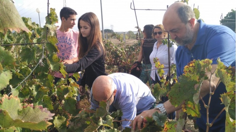 Un moment de la verema a l'IES Serra Mariola de Muro