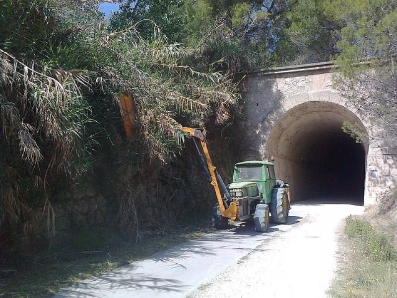 Imatge dels treballs de l'any passat