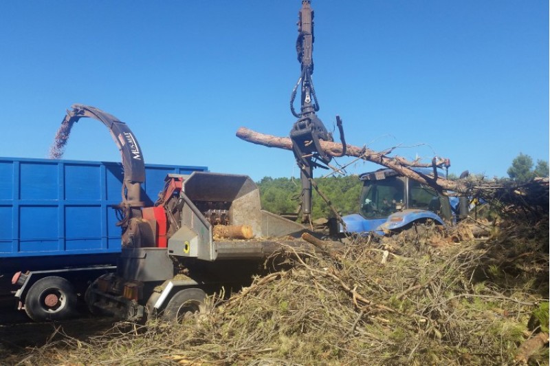 Per la prevenció d'incendis, Bocairent executa franges de seguretat / Bocairent