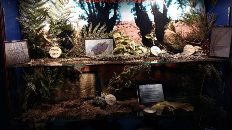 Exposicions a ISURUS