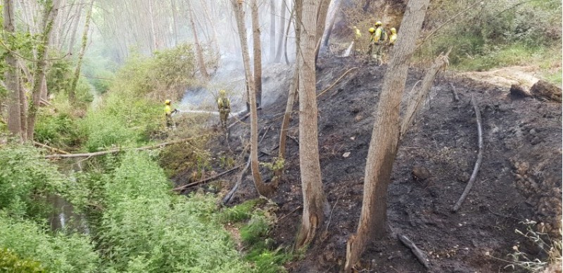 Incendi a Bocairent aquest 7 de juliol. Imatge facilitada pel consistori