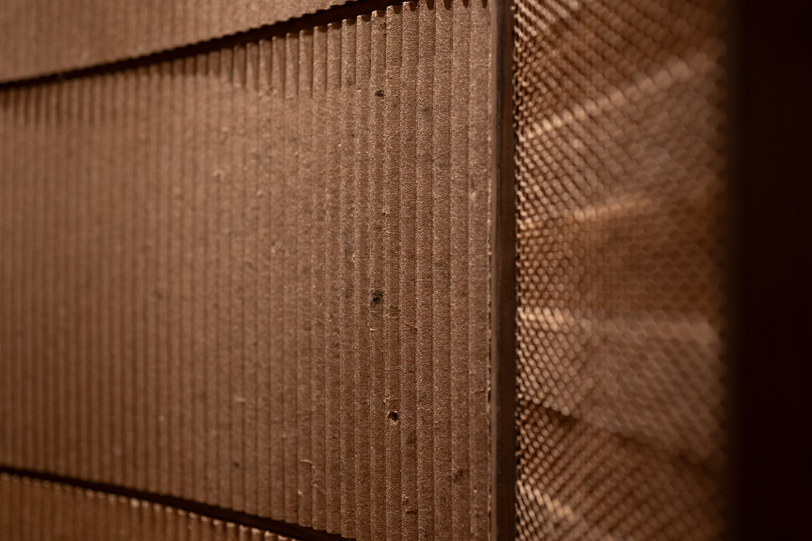 Paret de Honeycombs