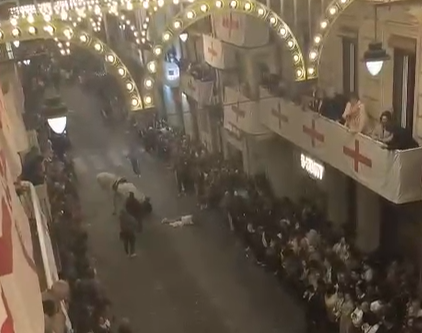La dona i el genet en terra mentre intenten controlar al cavall.