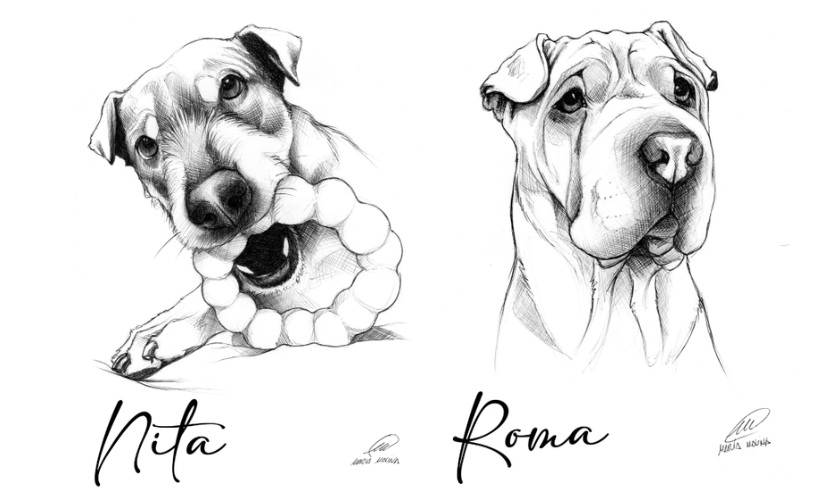 Exemples d il·lustracions de les propies mascotes de l'il·lustradora