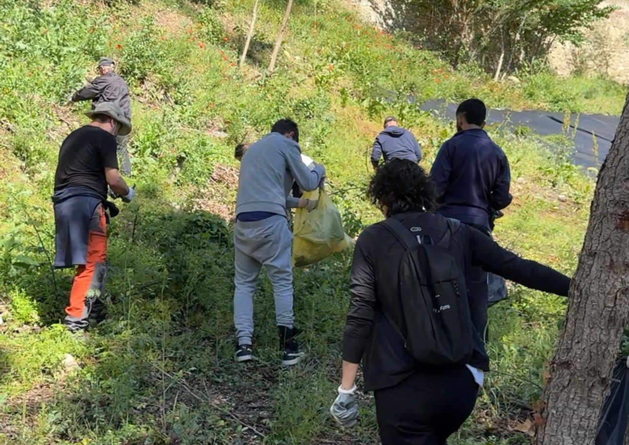 Neteja de la vessant del riu