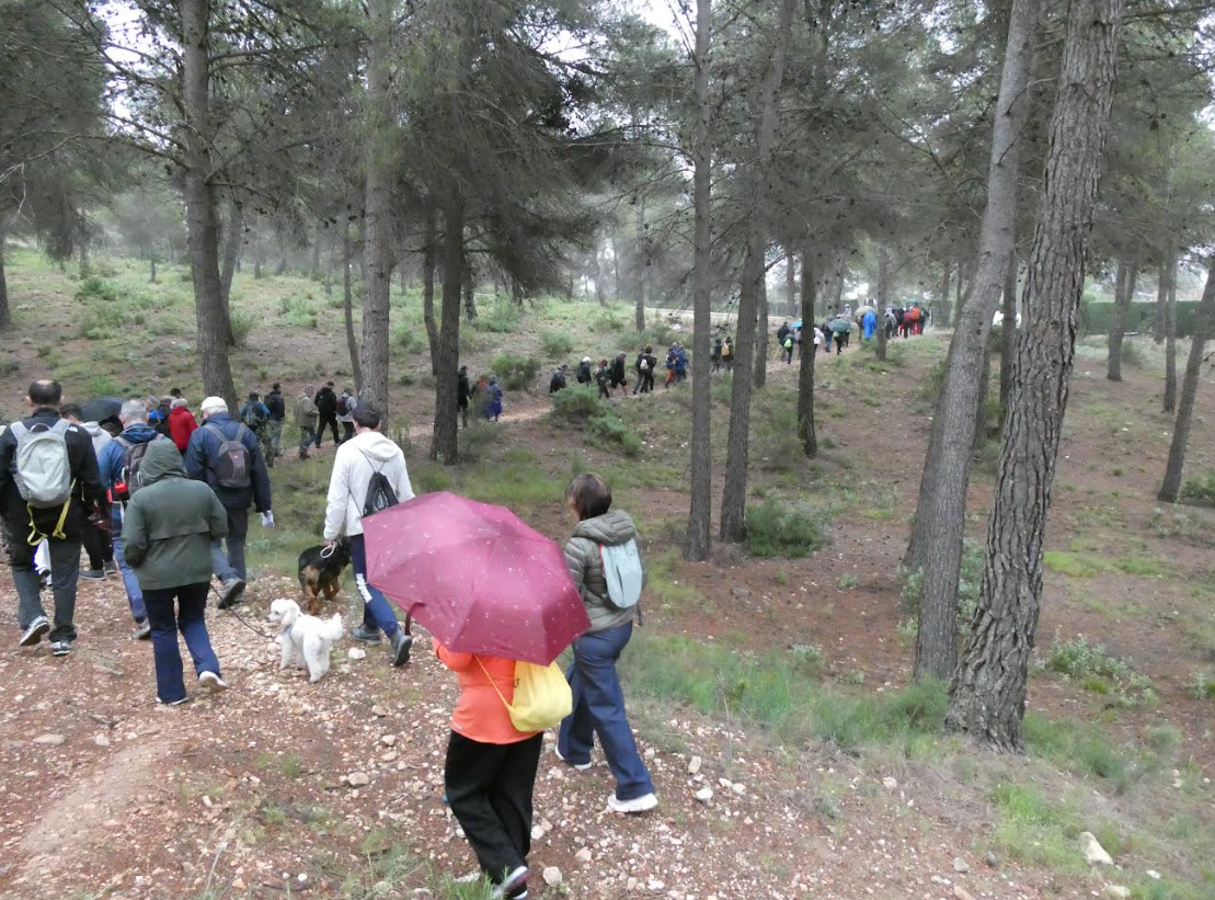 Els participants per la rambla de la Gavarnera, en imatge facilitada pels organitzadors. 