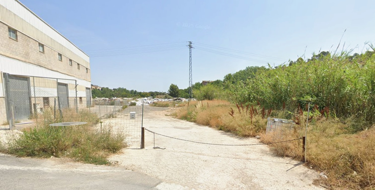 Imatge de Google de 2025