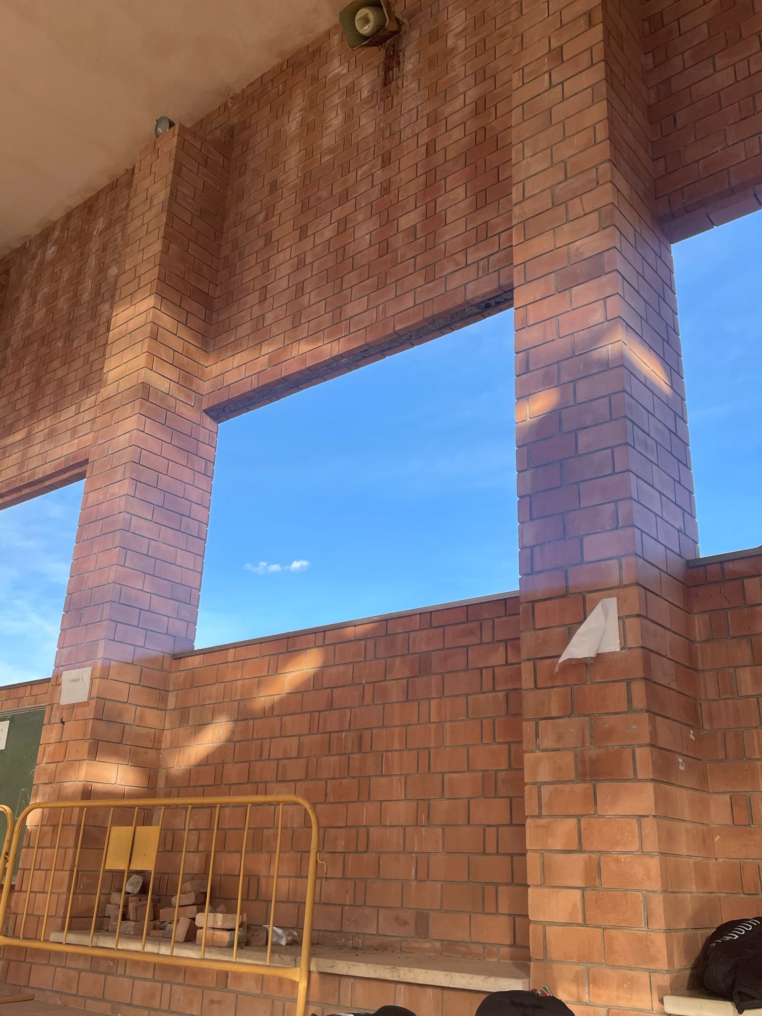 Rajols caiguts al pati de primària del Romeral