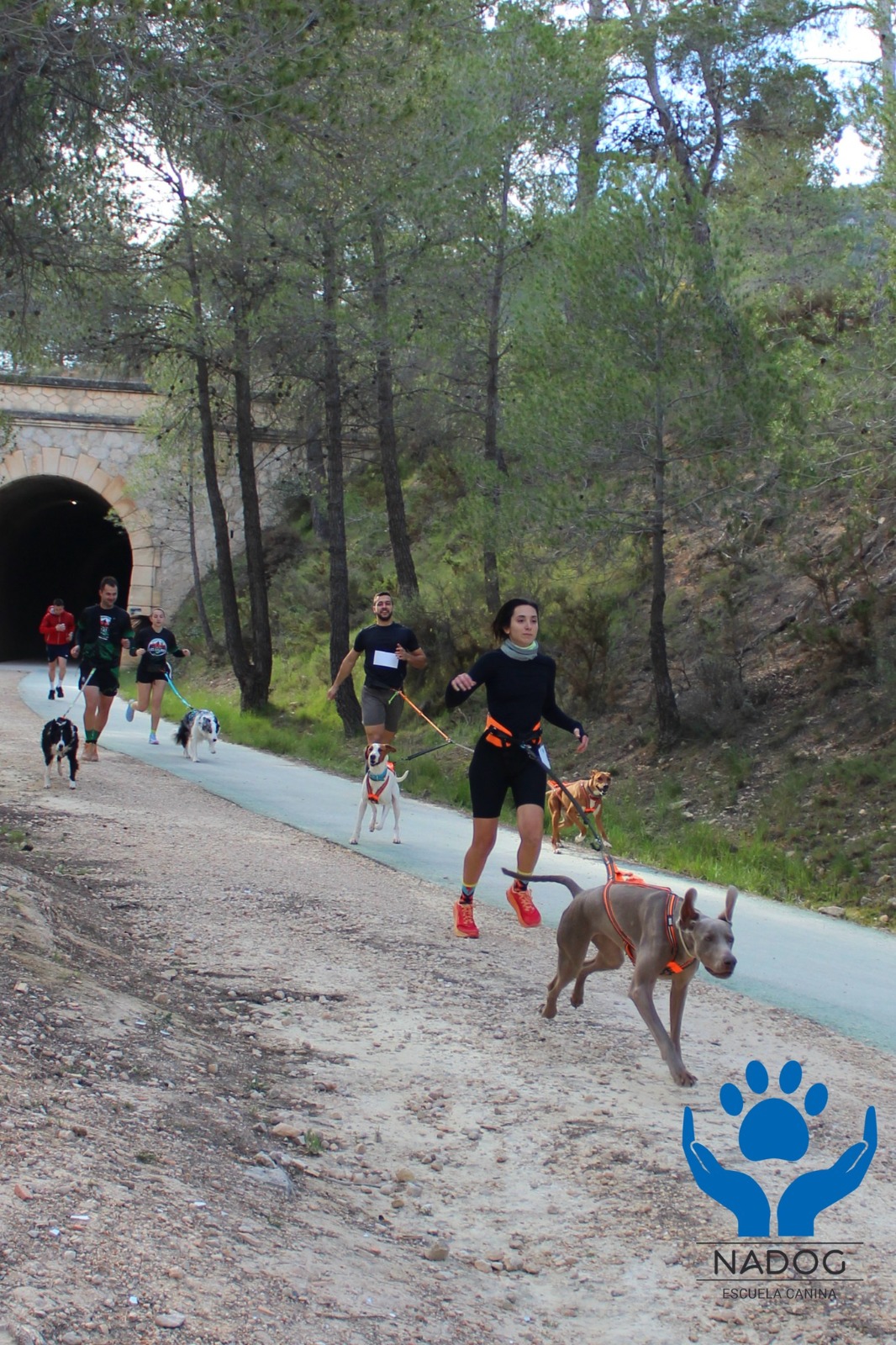 El Canicross del 2025. 