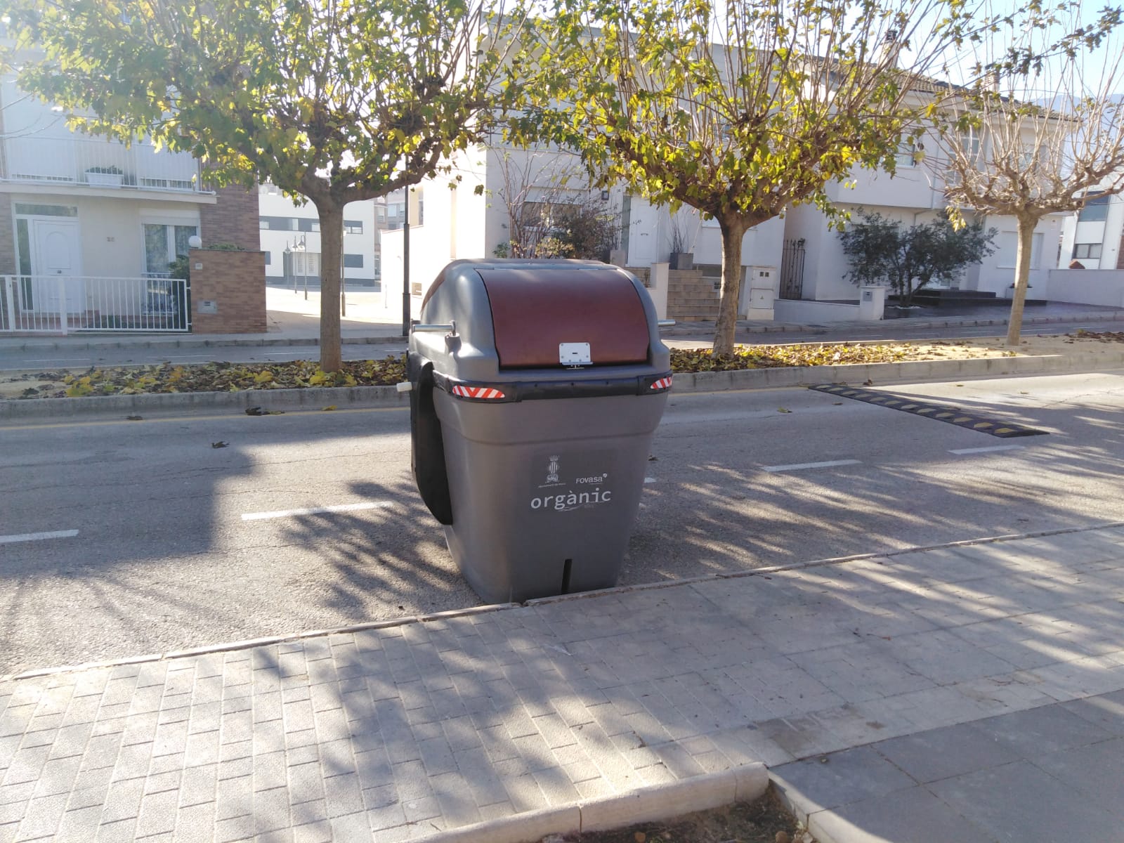 Així és el nou contenidor marró