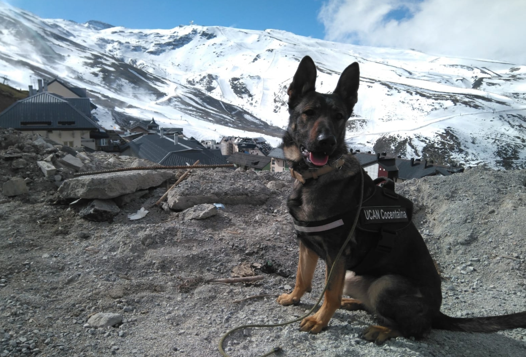 Dana, una de les gosses de la unitat contestana, en un curs celebrat a Osca. Imatge facilitada pel consistori.