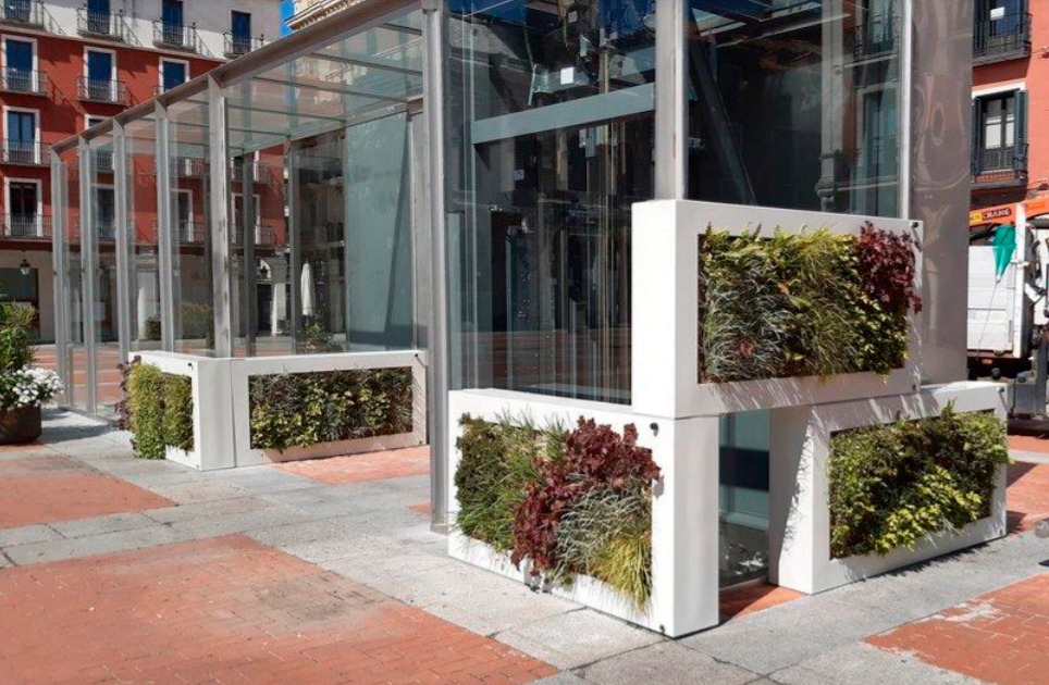 Quadres vegetals mòbils