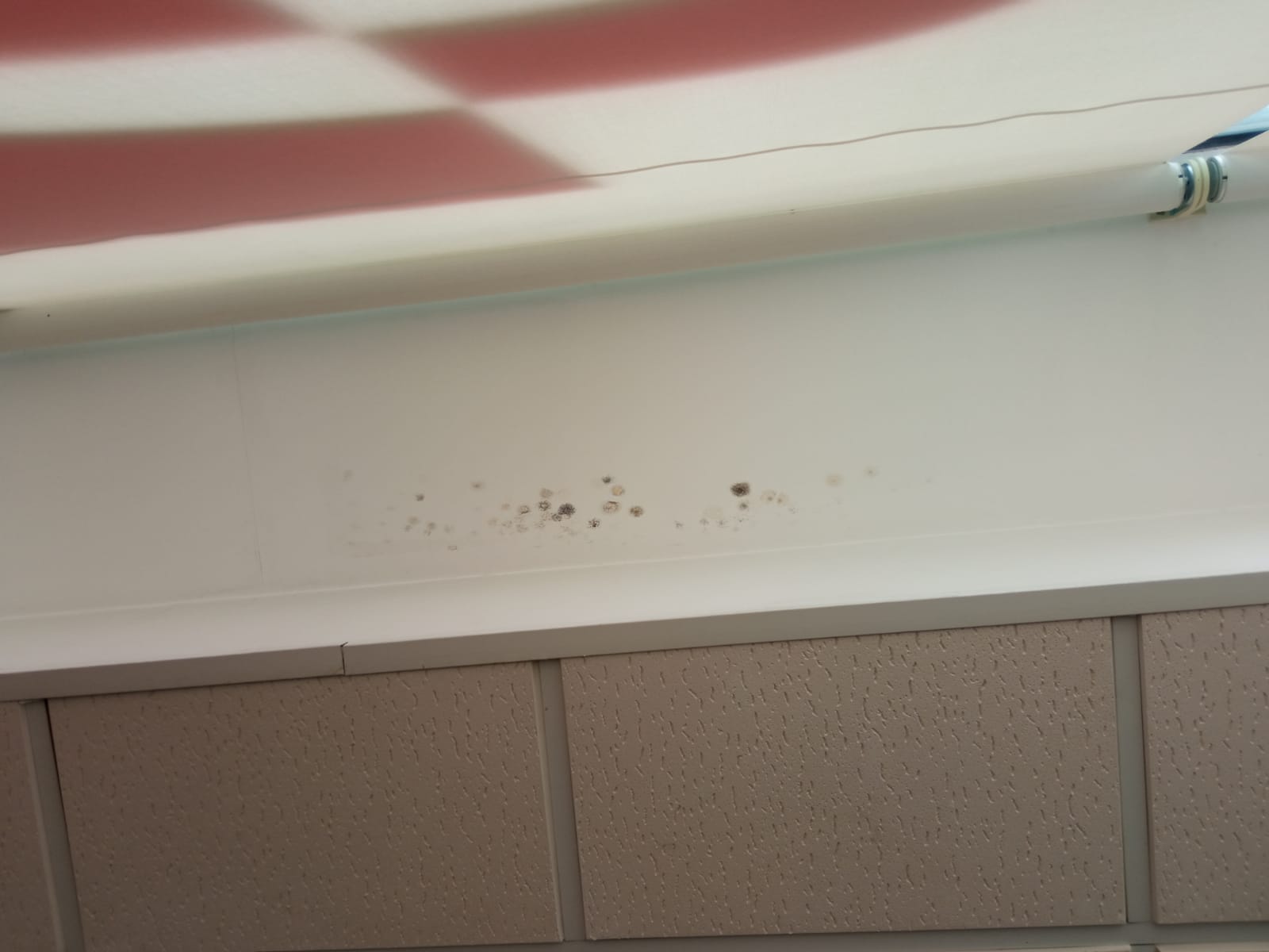 Agència de lectura de la Uixola