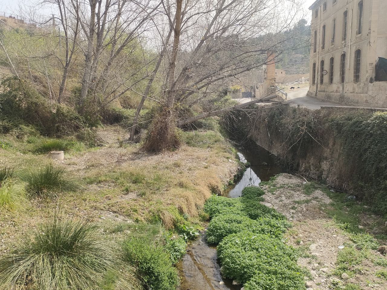 Una de les zones on s'actuarà, en el riu a prop de la Zona Nord. 