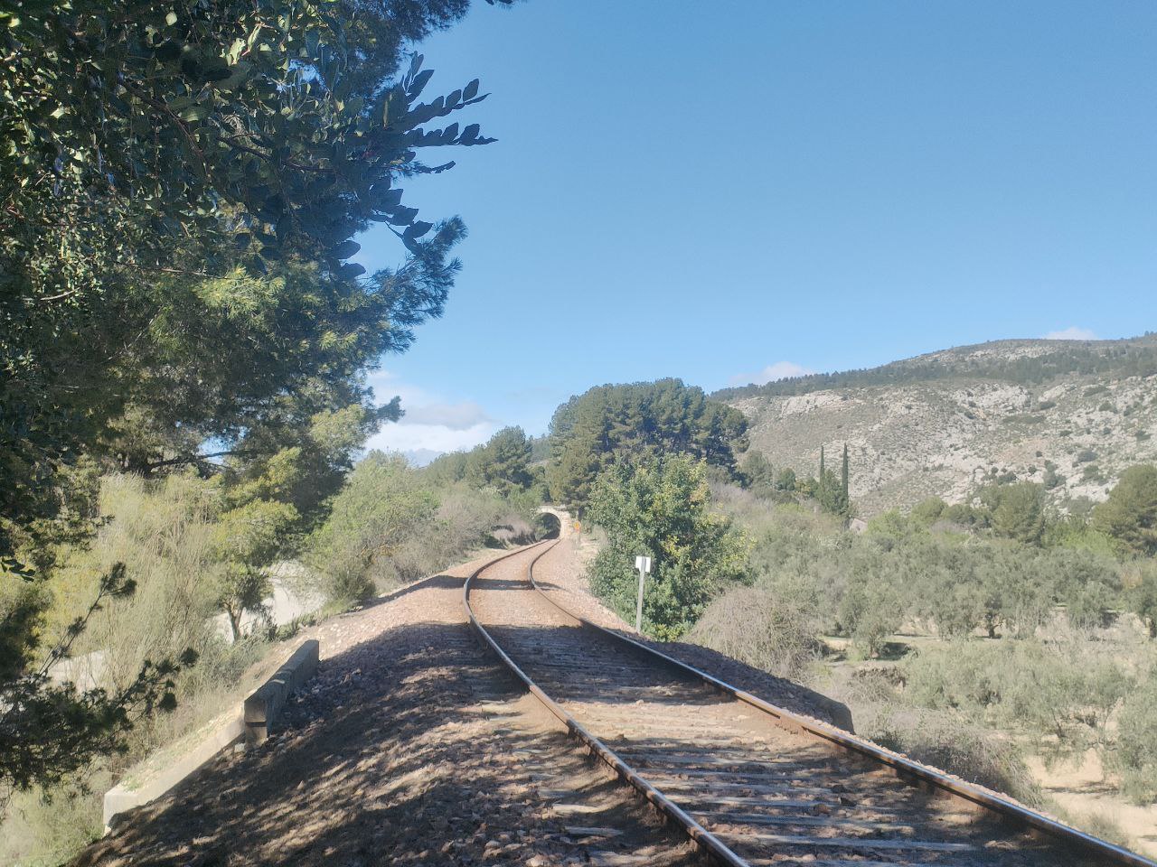 El tren al seu pas per Agres. 