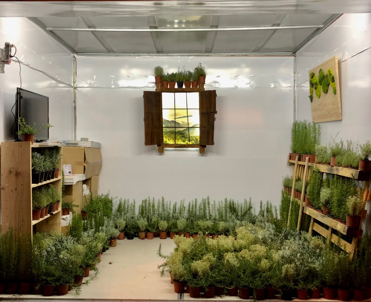 Les plantes repartides des de l'estand de la Mancomunitat a la Fira de Tots Sants